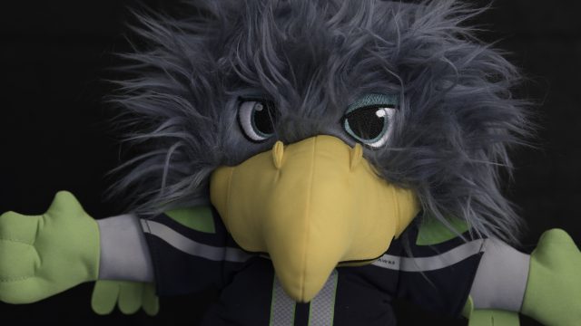 Nikon Z9 ISO 12800 DN Raw