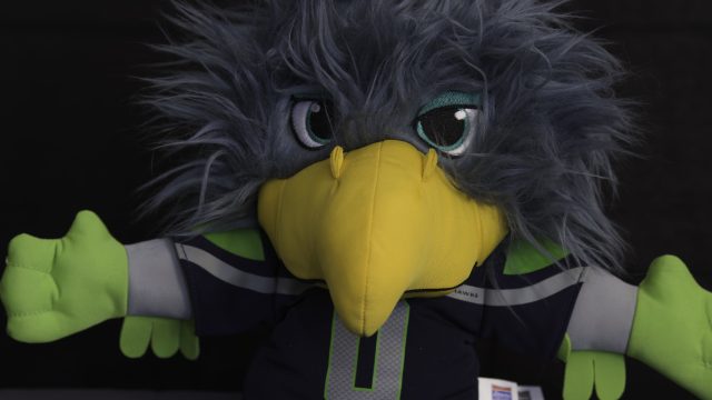 Nikon D500 ISO 1600 DN Raw