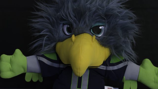 Nikon D500 ISO 25600 DN Raw