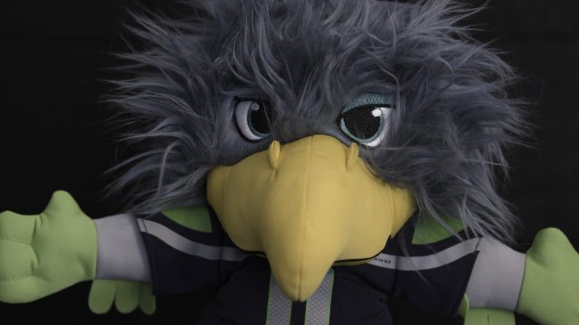 Nikon Z9 ISO 6400 DN Raw