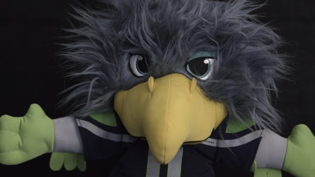 Nikon Z9 ISO 12800 DN Severe