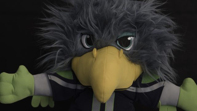 Nikon Z9 ISO 1600 DN Severe