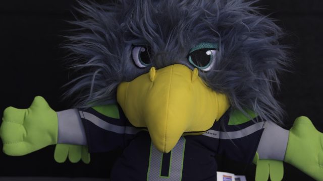 Nikon D500 ISO 3200 DN Severe