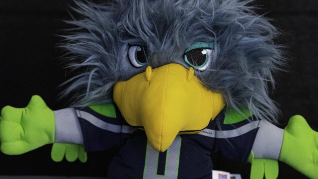 Nikon D500, ISO 12800