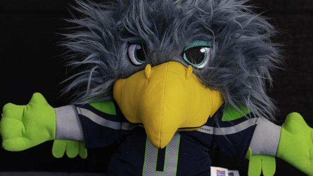 Nikon D500, ISO 1600