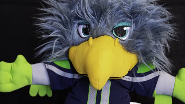 Nikon D850, ISO 1600