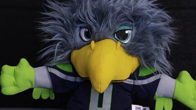 Nikon D500, ISO 3200