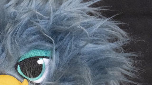 Nikon D850 ISO 12800 Zoomed