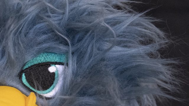 Nikon Z6 ISO 12800 Zoomed