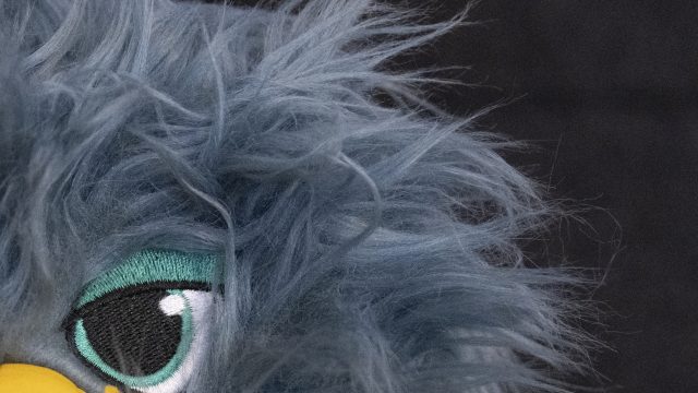 Nikon Z9 ISO 12800 Zoomed