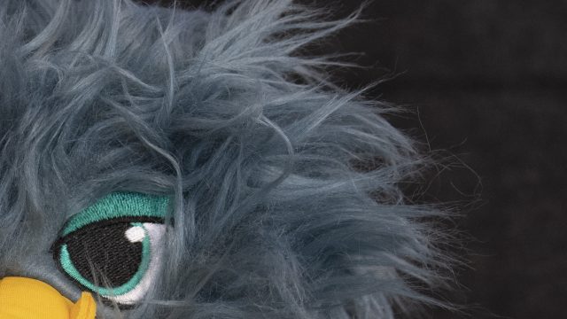 Nikon D500 ISO 1600 Zoomed