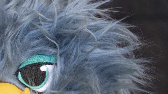 Nikon D850 ISO 1600 Zoomed