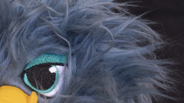 Nikon Z6 ISO 1600 Zoomed