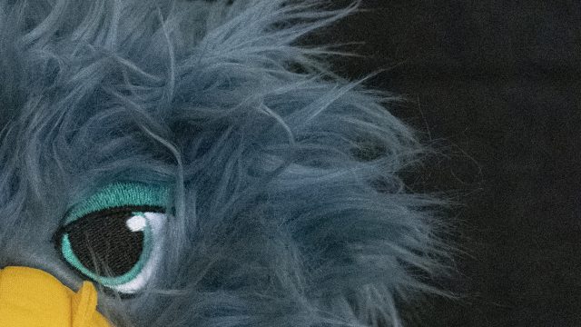 Nikon D500 ISO 25600 Zoomed