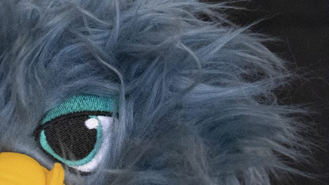 Nikon Z6 ISO 25600 Zoomed