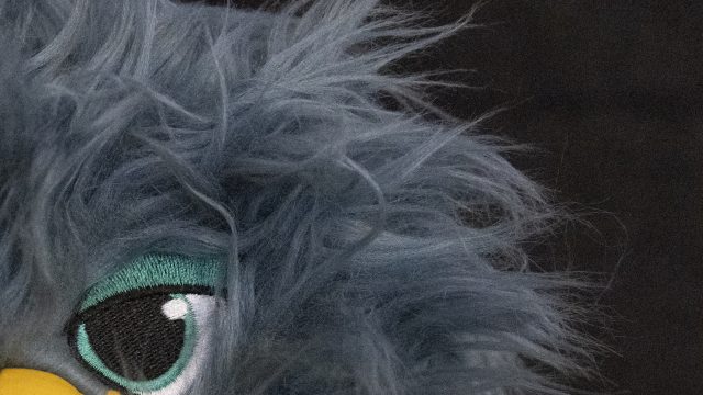 Nikon Z9 ISO 25600 Zoomed