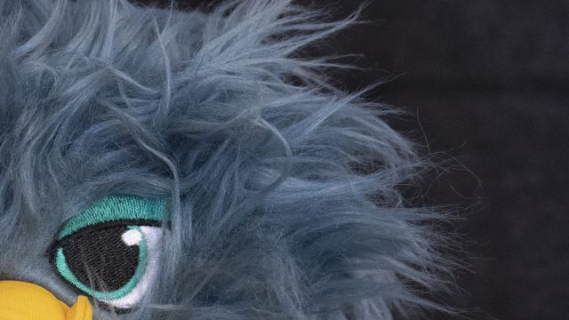 Nikon D500 ISO 3200 Zoomed