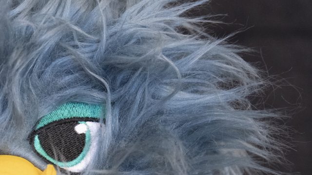 Nikon D850 ISO 3200 Zoomed