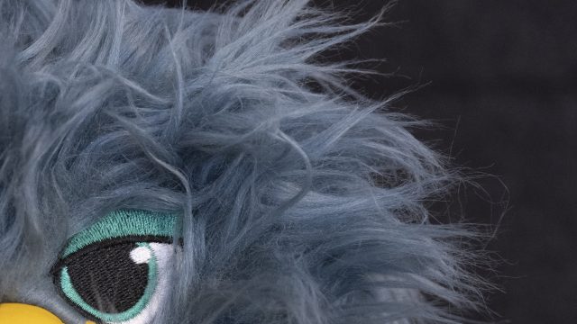 Nikon Z9 ISO 3200 Zoomed