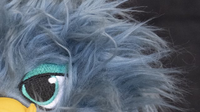 Nikon D850 ISO 6400 Zoomed