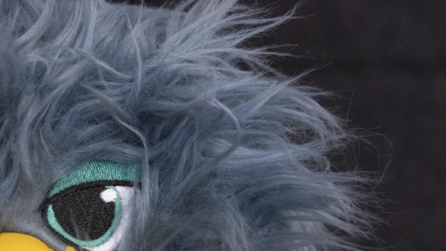 Nikon Z9 ISO 6400 Zoomed