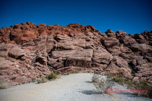 Red Rock Canyon, Nevada, Nov 2021