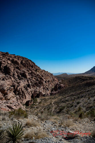 Red Rock Canyon, Nevada, Nov 2021