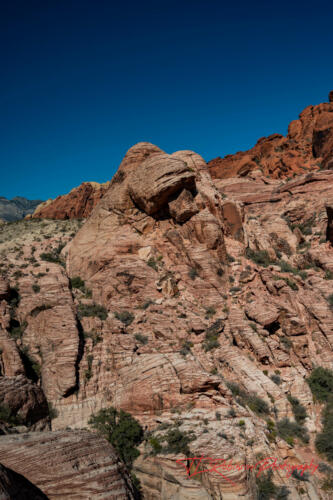 Red Rock Canyon, Nevada, Nov 2021