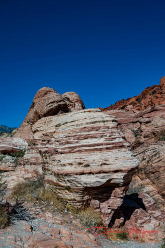 Red Rock Canyon, Nevada, Nov 2021