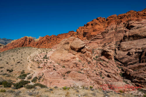 Red Rock Canyon, Nevada, Nov 2021