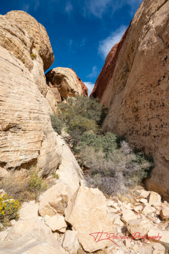 Red Rock Canyon, Nevada, Nov 2021