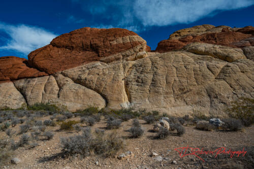 Red Rock Canyon, Nevada, Nov 2021