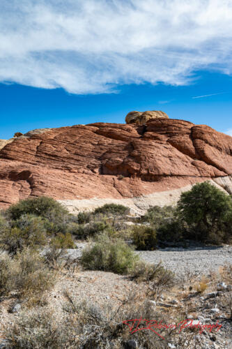 Red Rock Canyon, Nevada, Nov 2021