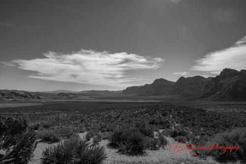 Red Rock Canyon, Nevada, Nov 2021