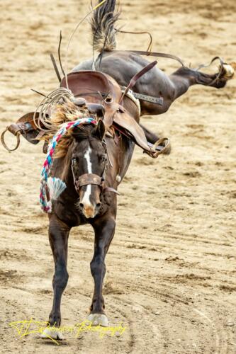 Methow-Valley-Rodeo-Winthrop-5.28.2022-132-of-217