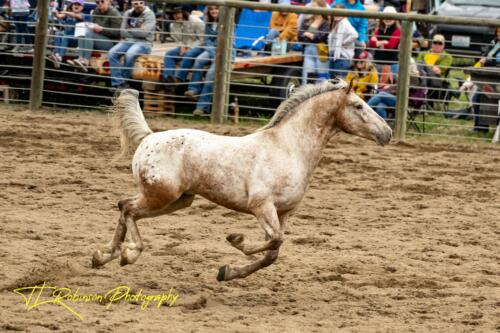 Methow-Valley-Rodeo-Winthrop-5.28.2022-51-of-217